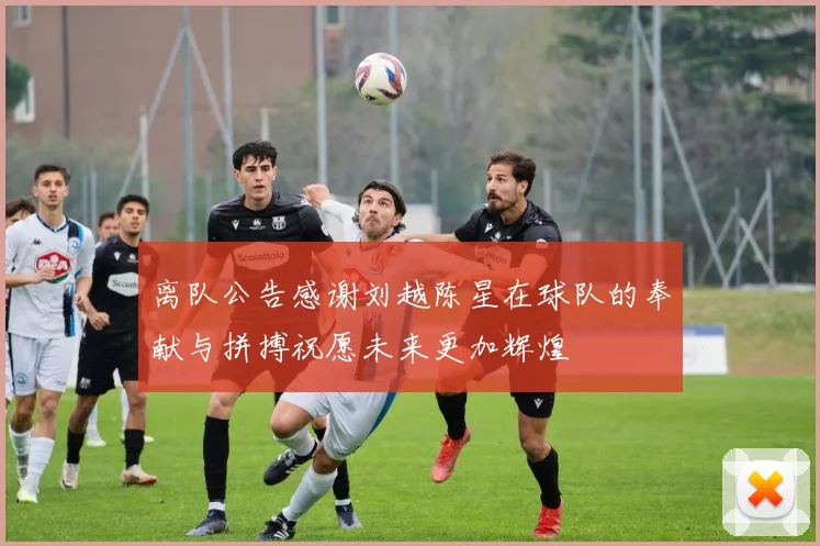 离队公告感谢刘越陈星在球队的奉献与拼搏祝愿未来更加辉煌