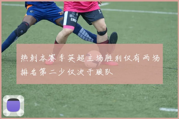 热刺本赛季英超主场胜利仅有两场排名第二少仅次于狼队