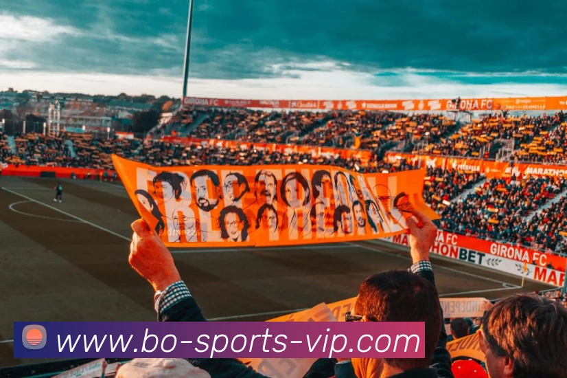 App Interface Preview