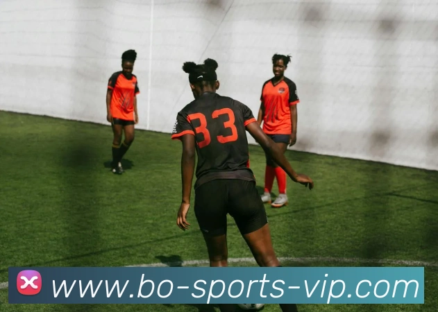 火博体育APP 封面图